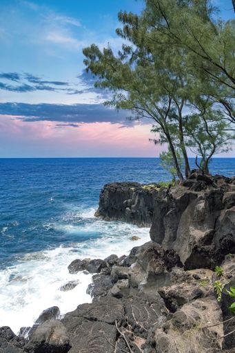 La Reunion island, seascape at Sainte-Rose, palm trees on the coast, with solidified lava flow, route des laves