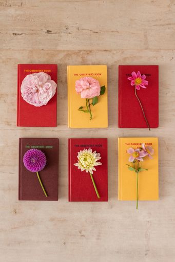 A vertical shot of different colorful flowers on botanical books on the table