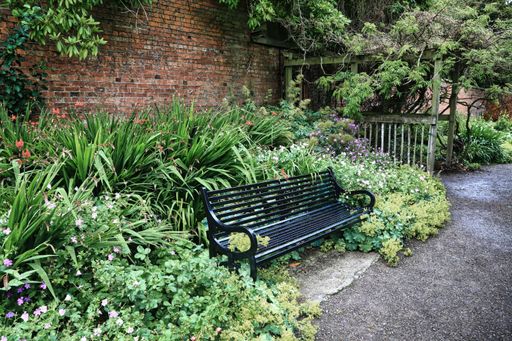 A serene garden scene with a black bench surrounded by lush greenery and colorful flowers against a brick wall