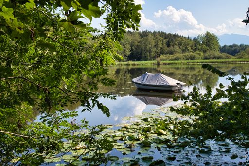 A small boat in the middle of the lake surrounded by forest