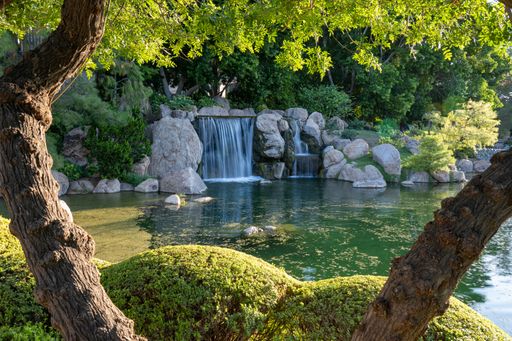 A beautiful shot from the Japanese friendship garden