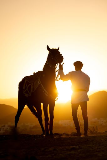A scenic view of a horse and the jockey in a desert landscape at golden sunset