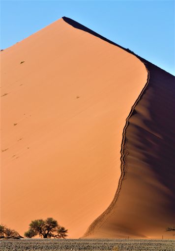 A beautiful shot of a dune in a desert in Namibia, South Africa