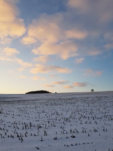 The snow-covered lands in the countryside during the sunset