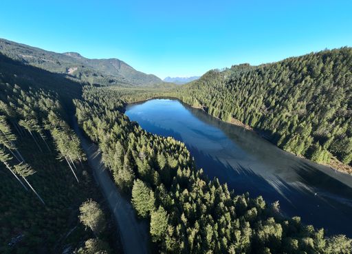 Aerial view of a serene lake surrounded by dense evergreen forests and mountains under a clear blue sky.