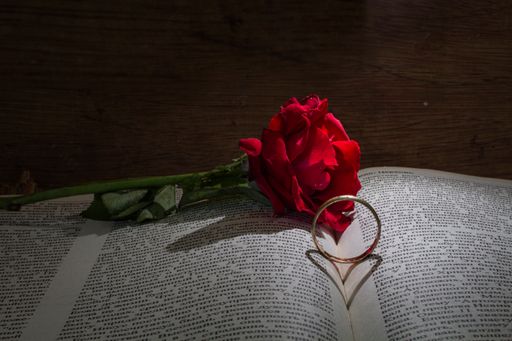 A closeup shot of a red rose on the book