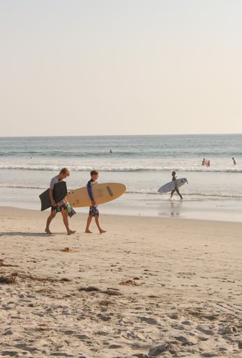 Photo of surfers holding their boards, walking along Torrey Pines beach in San Diego, California.