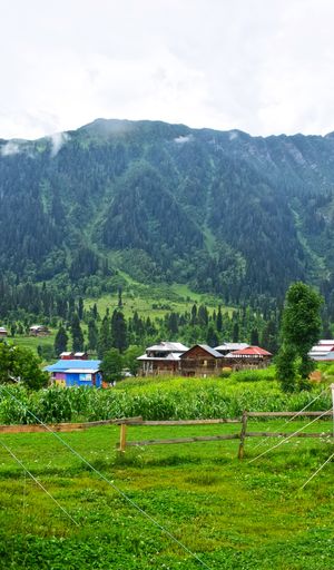 a vertical shot of green land with small houses and mountains in the background under a cloudy sky
