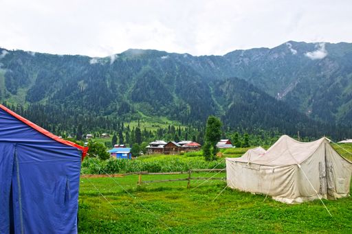 a closeup shot of tants in green land with small houses, mountains in background under cloudy sky