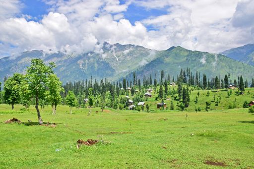A mesmerizing green land with small houses and mountains in the background under a cloudy sky