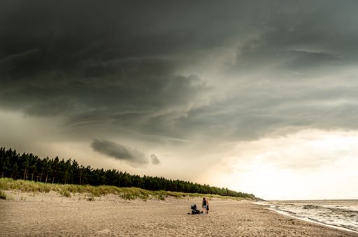 A great view of a family having time on the beach under a beautiful cloudy sky, trees line