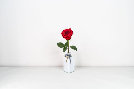 A single red rose in a white vase with a ribbon, set against a minimalist white background.