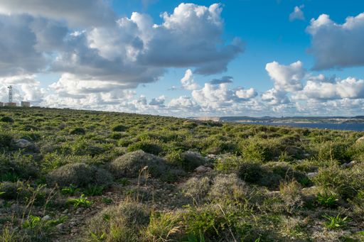 The view of the island of Gozo from on top of the cliffs of Mellieha, Malta on a beautiful cloudy day. Cliffs in Malta covered with garigue vegetation