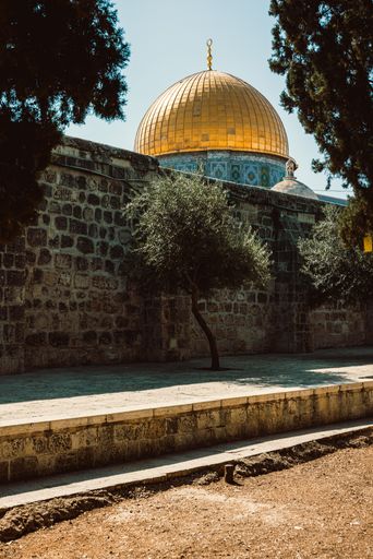 Golden Dome of the Rock in Jerusalem framed by trees against a clear sky, showcasing historical architecture.