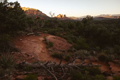 A scenic view of Sedona's red rock formations with lush greenery under a clear sky at sunset.