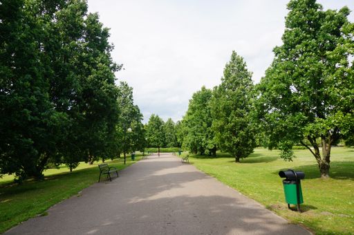 A road in a beautiful green park with oaks and maples on a sunny day