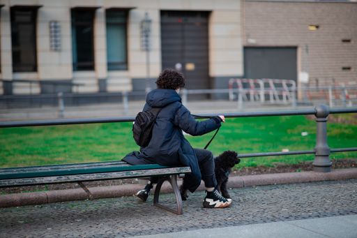 A person sitting on a park bench with a small black dog on a leash, in an urban setting with buildings in the background.