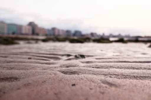 A selective focus shot of the ground with a city in the background