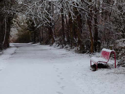 A snow-covered path in a forest with a red bench, showcasing a serene winter scene with bare trees and a tranquil atmosphere.