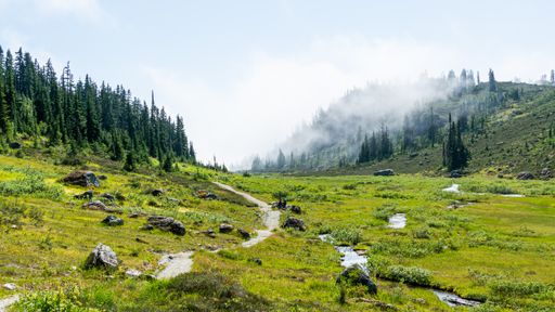 A scenic shot of the Brandywine mountain forest in Whistler, Canada, and a green meadow