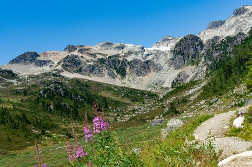 A scenic shot of the Brandywine mountain forest in Whistler, Canada, and a green meadow
