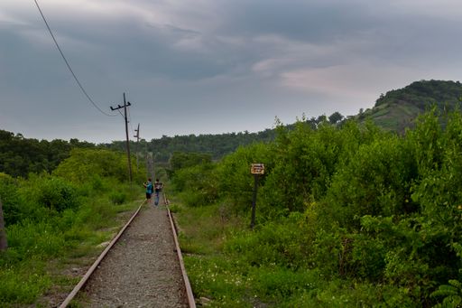 A beautiful view of the pavement through the trees of the forest and the mountains on a gloomy day