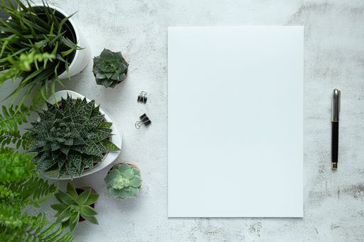 A top view of blank paper, pen and plants