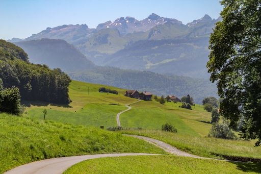 The road passing through green fields with small houses in the background.