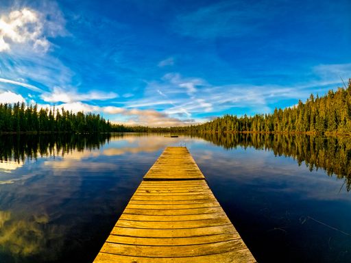 A serene wooden dock extending into a calm lake surrounded by lush forest under a vibrant blue sky, reflecting the peaceful natural beauty.