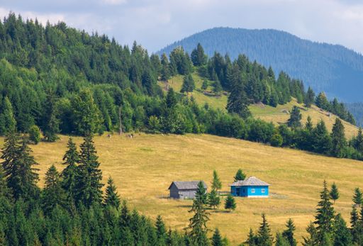 The old peasants houses in a mountain glade