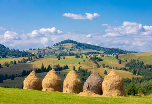 The haystacks on a beautiful mountain field