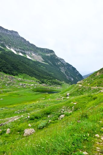 A vertical shot of mountains covered in green during the daytime