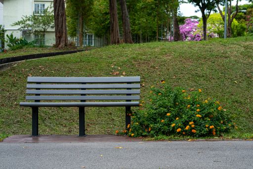 A wooden gray bench near flowers in a beautiful park