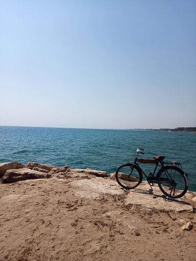 A vertical shot of a bicycle on the coastline of the calm sea under a bright sky