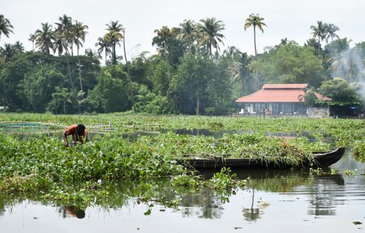 A man with a fishing boat on a lake and a building on palm trees background
