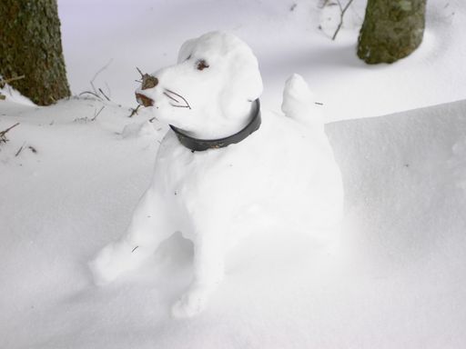 A view of a dog made out of snow with a collar on the ground covered in snow in the forest