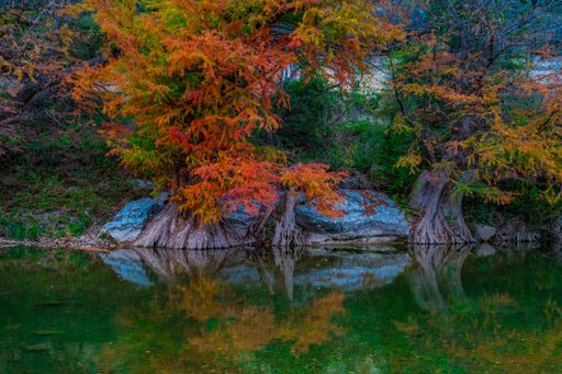 Vibrant autumn foliage reflecting in a calm river, showcasing the beauty of nature during the fall season.