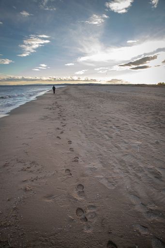 A solitary figure walks along a sandy beach with footprints leading towards the horizon under a vast sky.