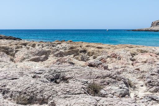 A view of mossy water and rocky seashore from the top of a cliff