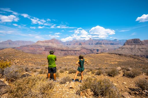 A beautiful shot of a couple together in the Grand Canyon under a blue sky