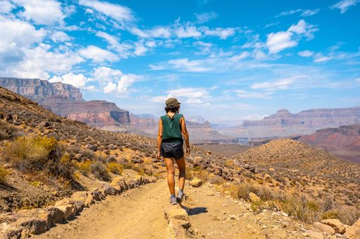 A beautiful shot of a woman standing in the Grand Canyon under a blue sky