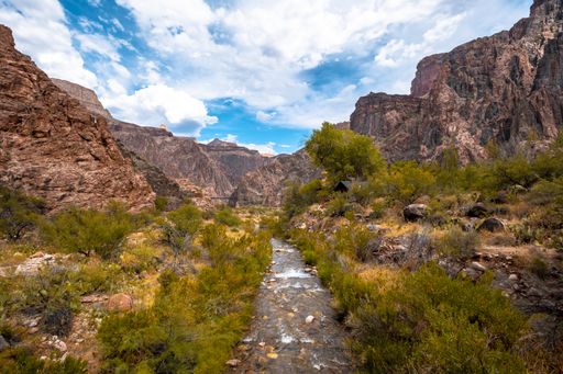 A beautiful shot of the Colorado River in the Grand Canyon under a blue sky