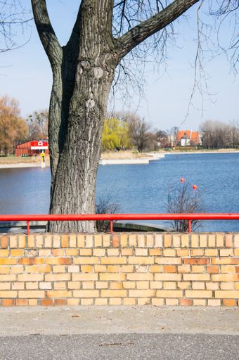 The brick wall next to an old tree at Malta lake in Poznan, Poland