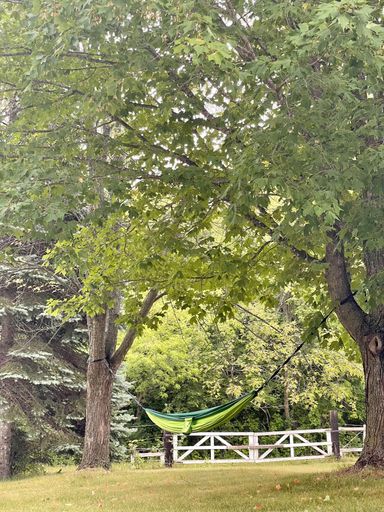 A hammock between trees in a beautiful park