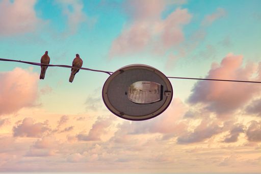 A low-angle shot of two doves perching on a lamp wire in the background of sunset clouds.