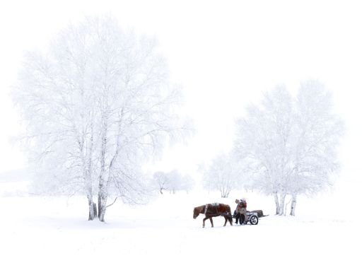 A Mongolian family travels through snowy weather