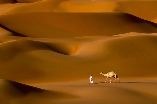 A scenic view of a man with a camel in the Liwa desert, UAE