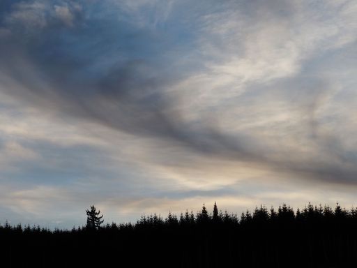 A silhouette of a forest under a dramatic cloudy sky at dusk showcases nature's beauty and serenity in a tranquil setting.