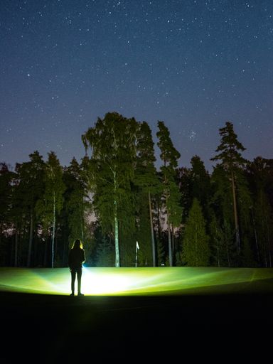 A majestic starry sky during the nighttime in a forest and a person looking at it