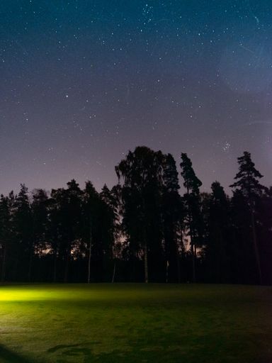 A beautiful shot of a magestic starry sky during the nighttime in a forest